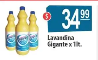 Autoservicio Capo Gigante Lavandina x 1lt oferta