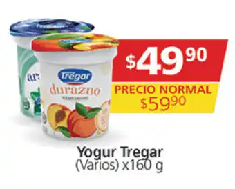 Supermercados Aiello Yogur Tregar x 160g oferta