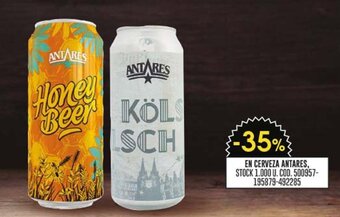 Coto EN CERVEZA ANTARES, oferta