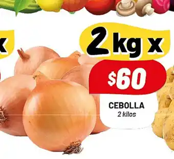 Almacor Cebolla 2 kilos oferta