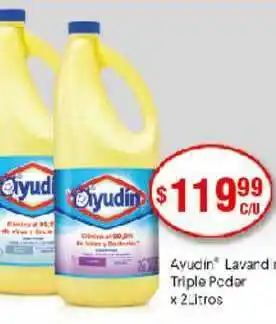 Supermercados Toledo Ayudin Lavandina Triple Poder x 2 litros oferta