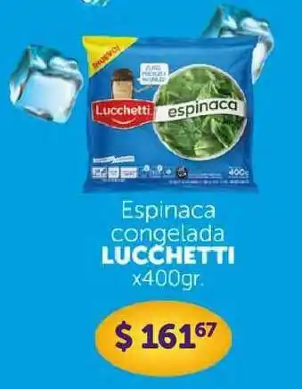La Gallega Supermercados Lucchetti Espinaca Congelada x 400gr oferta