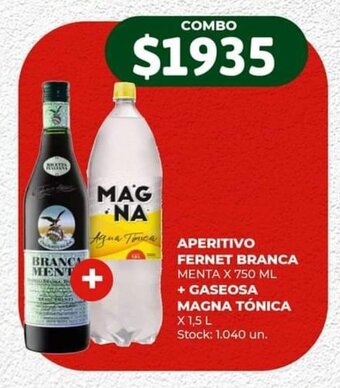 APERITIVO FERNET BRANCA MENTA X 750 ML + GASEOSA MAGNA TÓNICA X 1,5 L