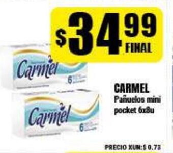 Supermayorista Vital Carmel Pañuelos mini pocket 6x8u oferta