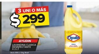 Carrefour Maxi Lavandina ayudin x 2l oferta