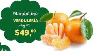 Verdulería Mandarina x kg