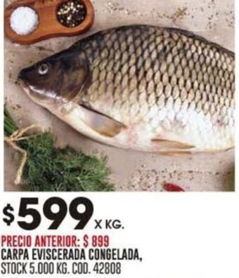 Coto CARPA EVISCERADA CONGELADA, STOCK 5.000 KG. COD. 42808 oferta