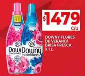 Supermercados DIA DOWNY FLORES DE VERANO/ BRISA FRESCA 1L oferta