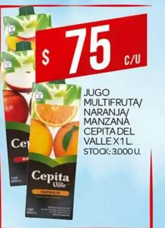 Supermercados DIA Jugo Multifruta Naranja Manzana Cepita Del Valle x 1 L oferta