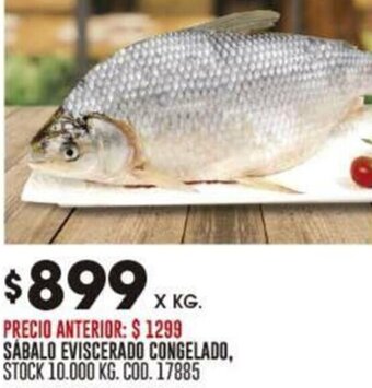 Coto SABALO EVISCERADO CONGELADO, STOCK 10.000 KG. COD. 17885 oferta