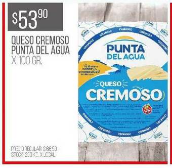 Disco Queso Cremoso Punta Del Agua x 100gr oferta