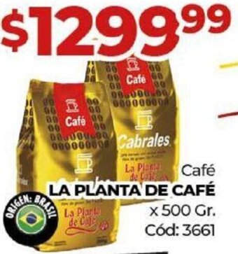 Diarco Café LA PLANTA DE CAFÉ x 500 Gr. oferta