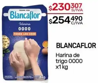 Nini Mayorista BLANCAFLOR Harina de trigo 0000 x1 kg oferta