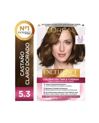 Punto de Salud Excellence tono 5.3 castaño claro dorado oferta