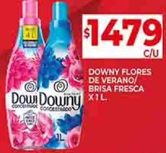 Supermercados DIA DOWNY FLORES DE VERANO BRISA FRESCA X 1L oferta