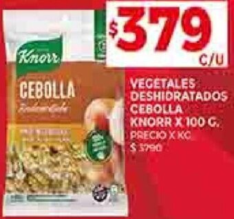 Supermercados DIA VEGETALES DESHIDRATADOS CEBOLLA KNORR X 100 G. oferta