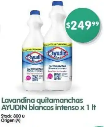Supermercados Buenos Días Lavandina quitamanchas AYUDIN blancos intenso x 1 It oferta