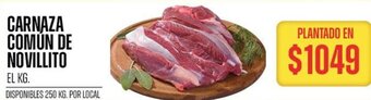 Supermercados Vea CARNAZA COMÚN DE NOVILLITO oferta