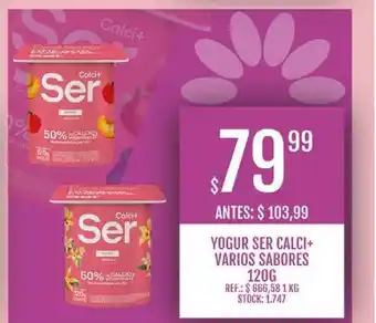 Supermercados Todo Yogur Ser Calci+ Varios Sabores 120g oferta