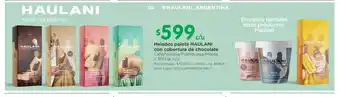 Jumbo Helados Paleta Haulani Con Cobertura De Chocolate x 300 gr / cu oferta