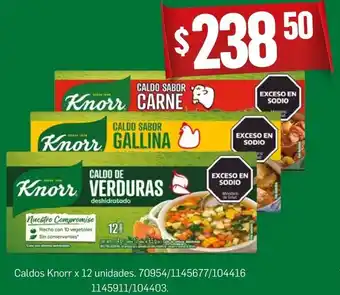 Makro Caldos Knorr x 12 unidades oferta