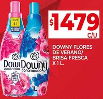 Supermercados DIA DOWNY FLORES DE VERANO/ BRISA FRESCA X 1L oferta
