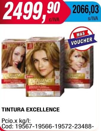 Maxiconsumo TINTURA EXCELLENCE oferta