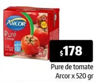 Pure de tomate Arcor x 520 gr