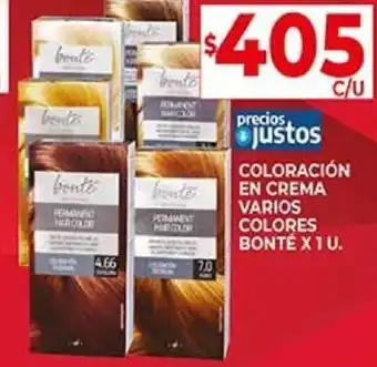 Supermercados DIA COLORACIÓN EN CREMA VARIOS COLORES BONTÉ X 1 U. oferta