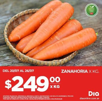 Supermercados DIA ZANAHORIA X KG. oferta