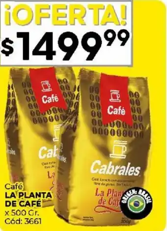 Diarco Café LA PLANTA DE CAFÉ x 500 Gr. oferta