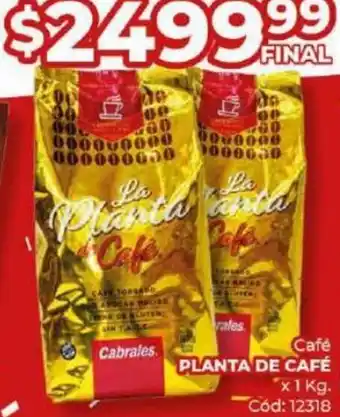 Diarco Café PLANTA DE CAFÉ x1 kg. Cód: 12318 oferta