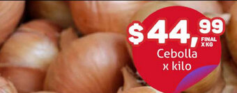 Makro Cebolla oferta