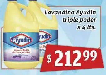 Gomez Pardo Ayudín Triple Poder Lavandina x 4lts oferta