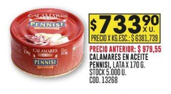Coto CALAMARES EN ACEITE PENNISI, LATA X 170 G. oferta