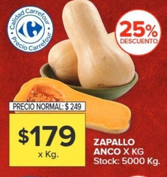 Carrefour ZAPALLO ANCO X KG Stock: 5000 Kg. oferta