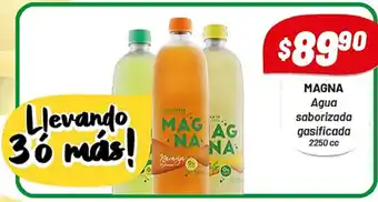 Almacor Magna Agua saborizada gasificada 2250cc oferta