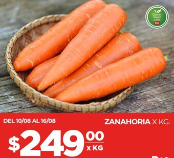Supermercados DIA ZANAHORIA X KG. oferta