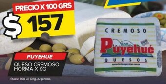 Carrefour Maxi PUYEHUE QUESO CREMOSO HORMA X KG oferta