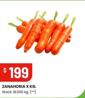 Changomas Zanahoria x kg oferta