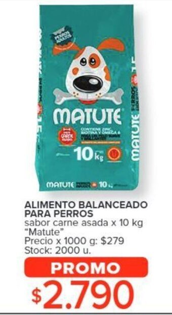 Carrefour ALIMENTO BALANCEADO PARA PERROS sabor carne asada x 10 kg "Matute" oferta