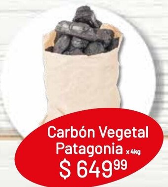 Makro Carbón Vegetal Patagonia x 4kg oferta