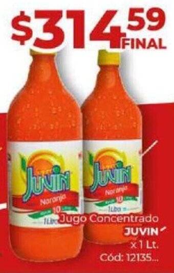 Diarco Jugo Concentrado JUVIN x1 Lt. oferta
