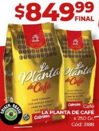 Diarco Café LA PLANTA DE CAFÉ x 250gr oferta