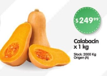 Supermercados Buenos Días Calabacín x 1 kg oferta