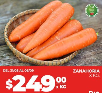 Supermercados DIA ZANAHORIA X KG oferta