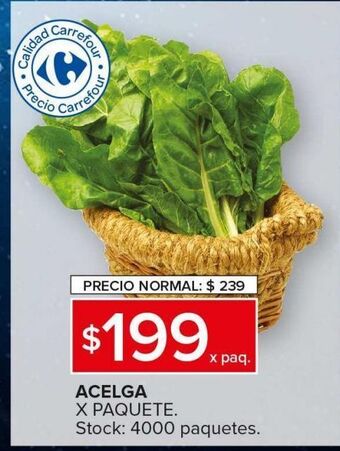 Carrefour Maxi Acelga x paquete oferta