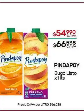 Nini Mayorista Pindapoy Jugo Listo x 1lts oferta
