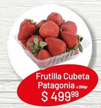 Makro Frutilla Cubeta Patagonia x 250gr oferta