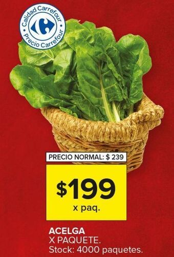Carrefour Maxi Acelga x paquete oferta